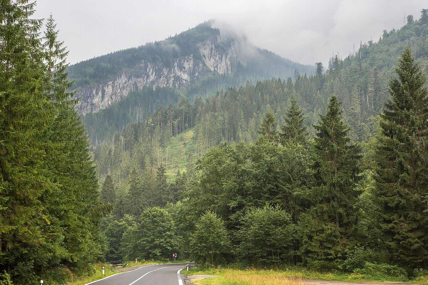 Vysoké Tatry